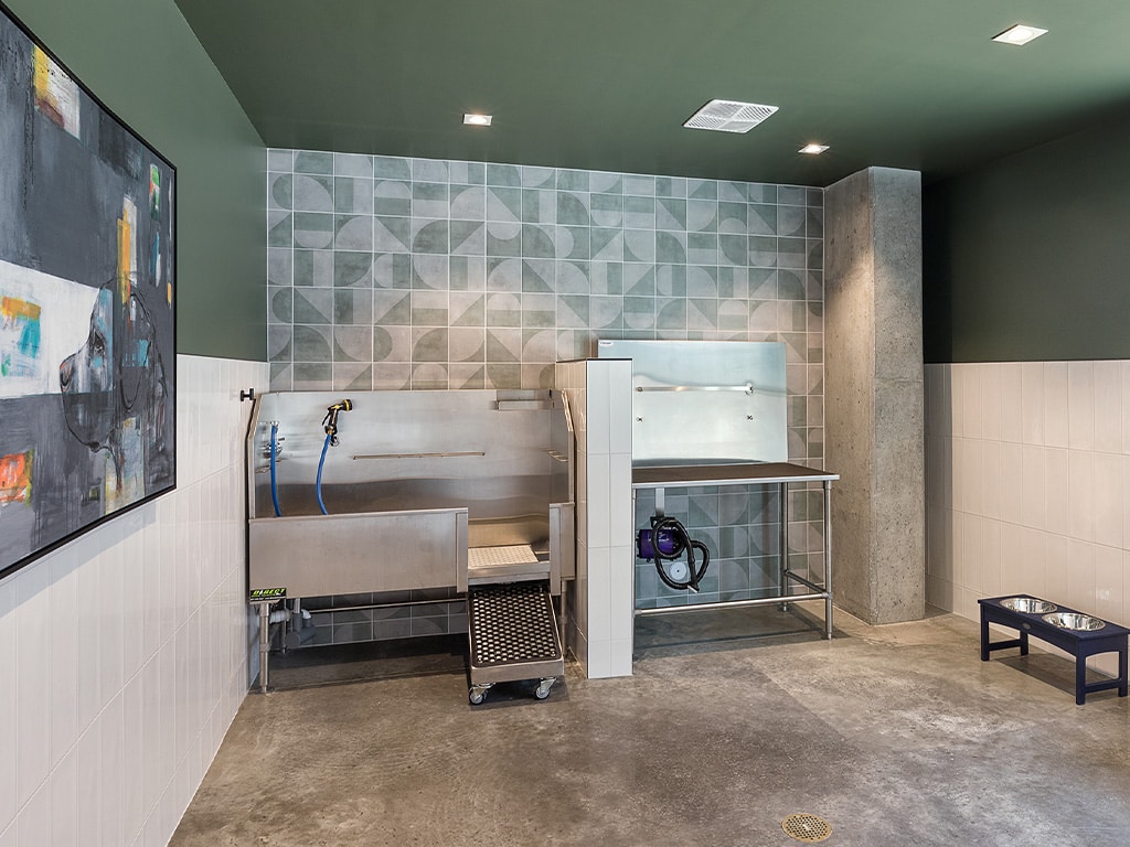 Wash station for animal grooming