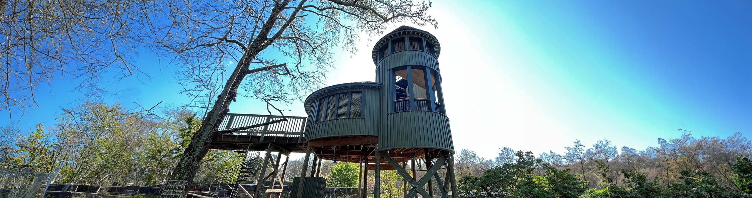 Lookout tower at Lewis Ginter botanical Garden