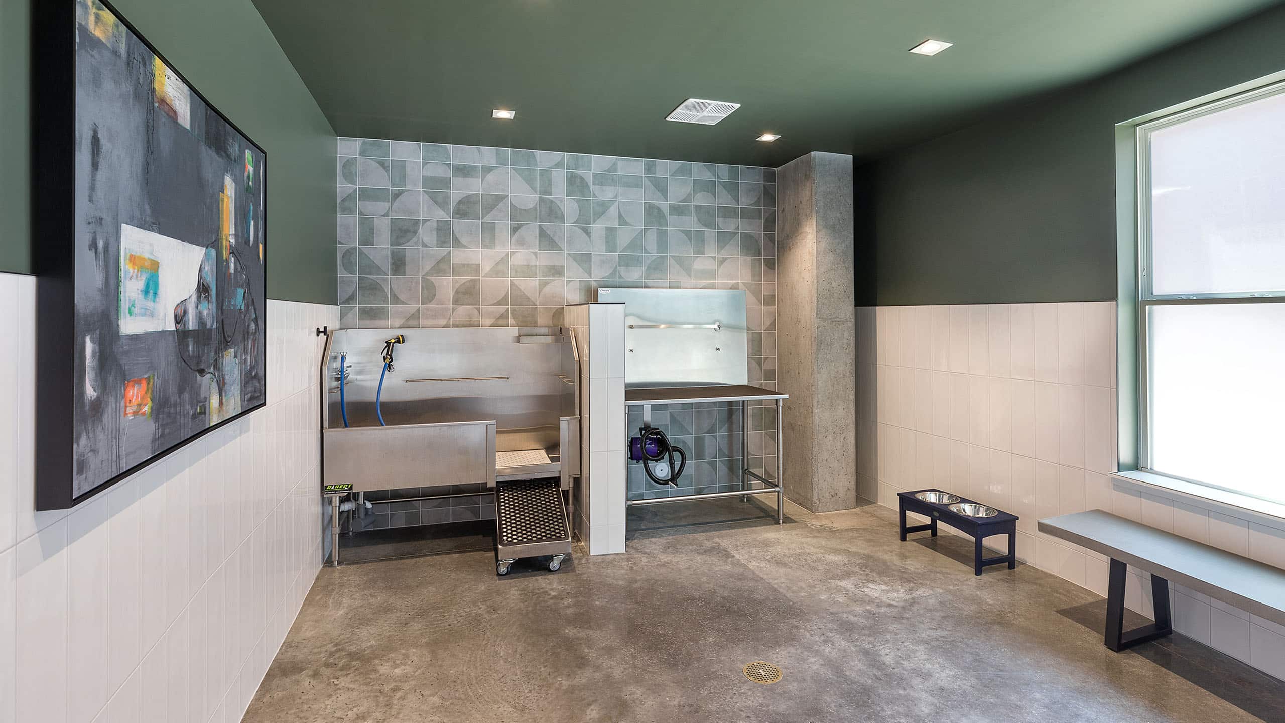 Wash station for animal grooming