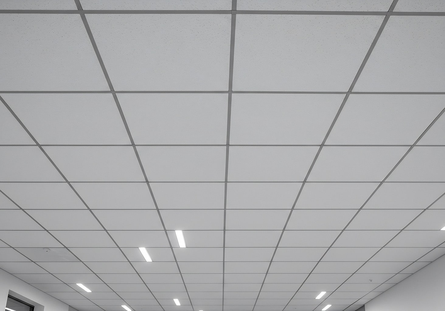 Ceiling panels and decorative lighting